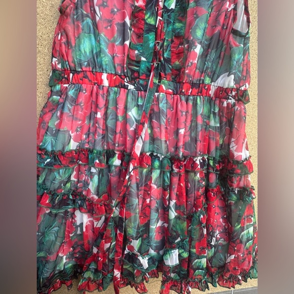Colorful Floral Dress with Ruffle Accents Buckle Tie Up Back Size 3XL - Picture 8 of 8